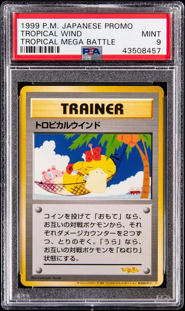 Tropical Wind