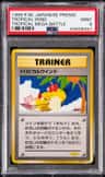 Tropical Wind