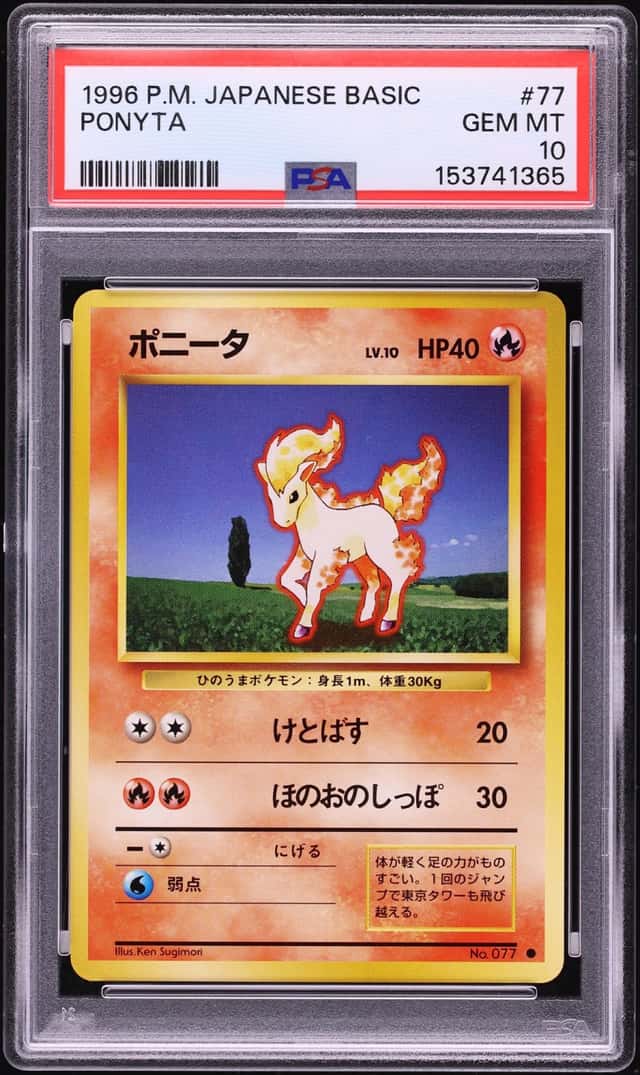 Ponyta