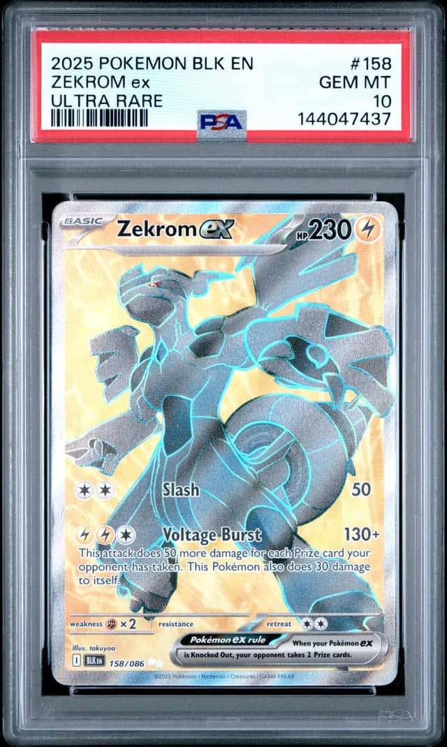ZEKROM ex