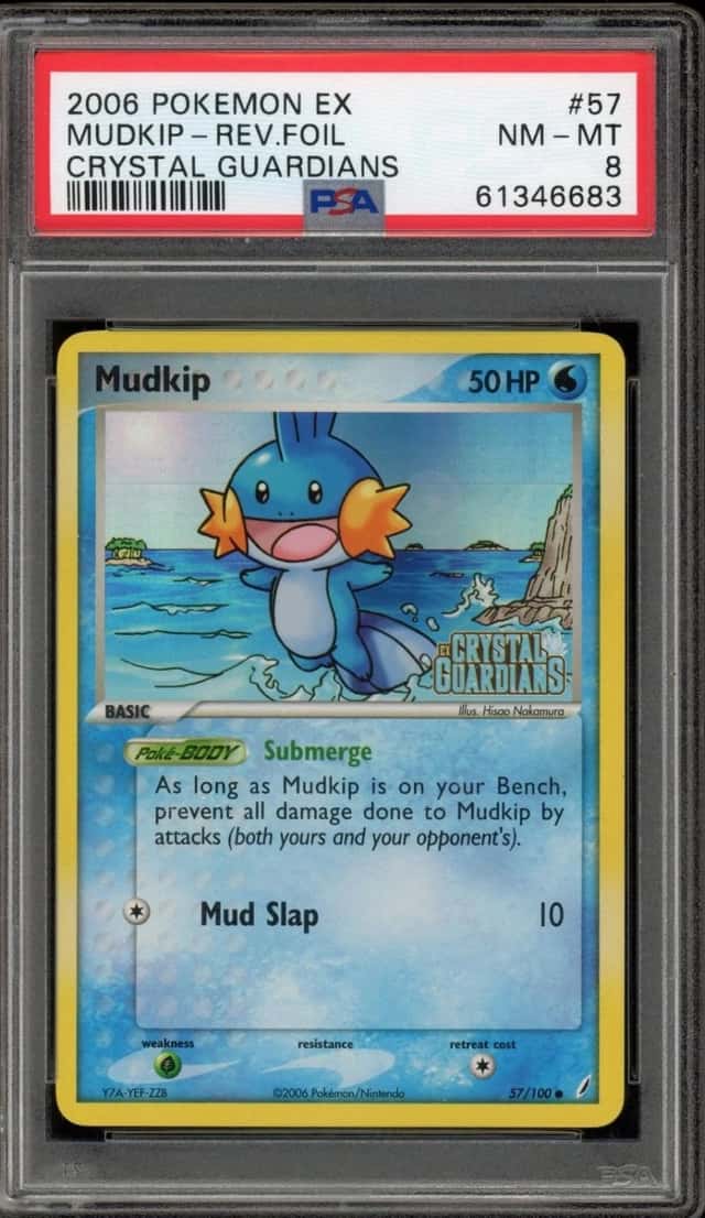 Mudkip