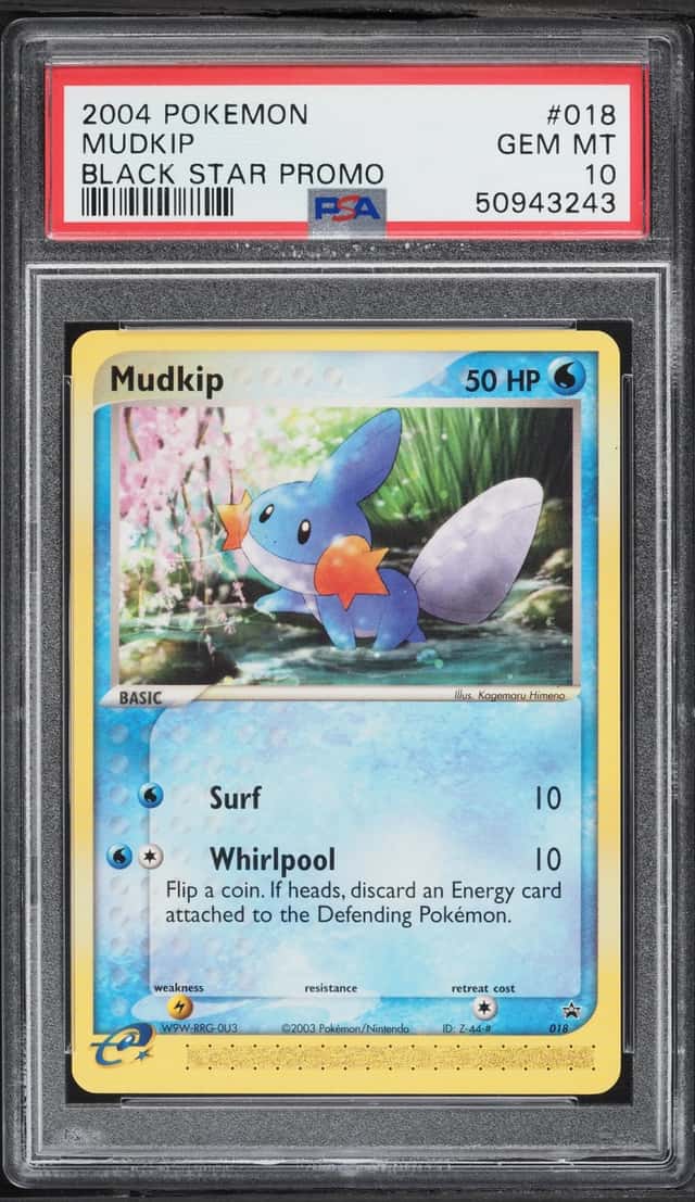 Mudkip