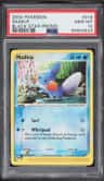 Mudkip