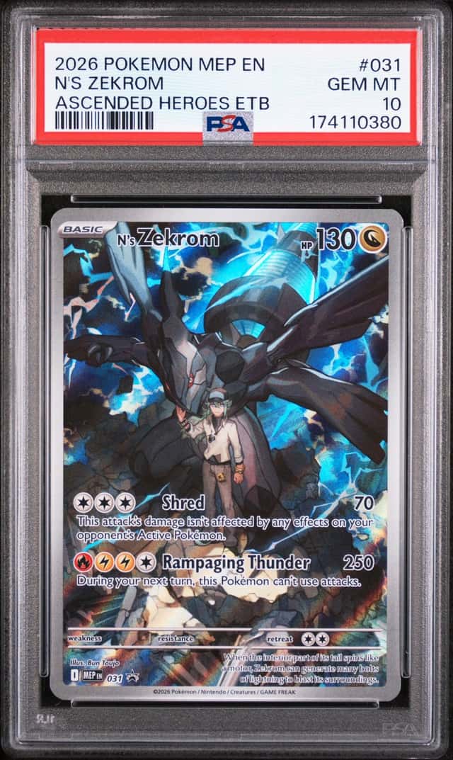 N's Zekrom