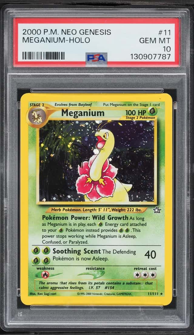 Meganium