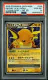 Raichu Lv.x