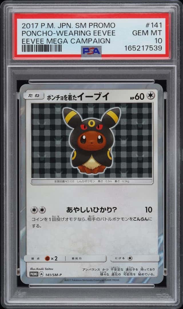 Poncho-wearing Eevee