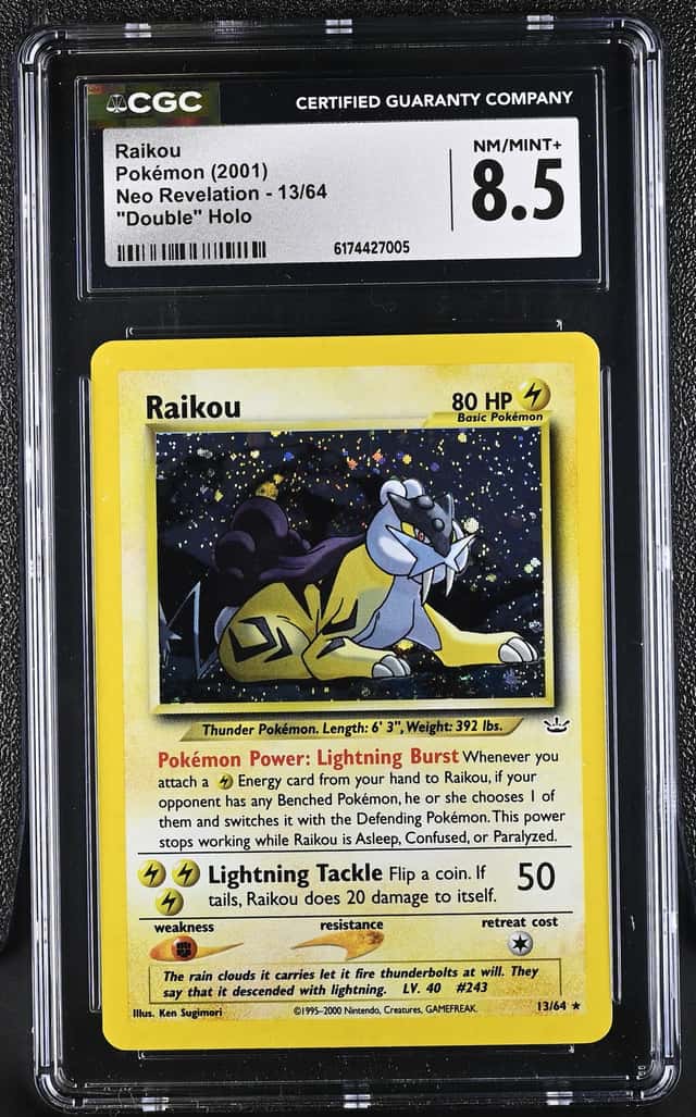 Raikou