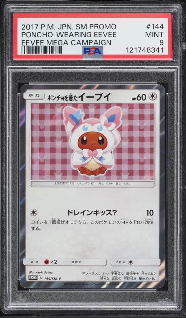 Poncho-Wearing Eevee