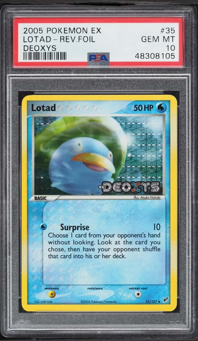 Lotad