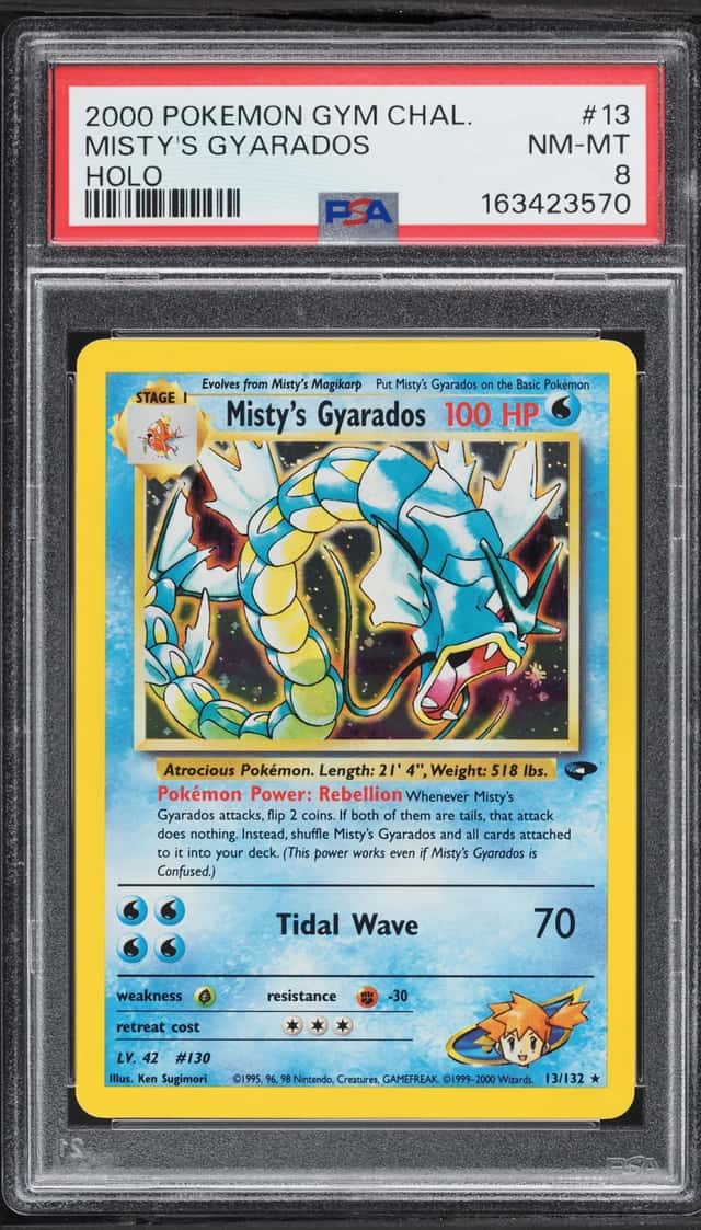Misty's Gyarados