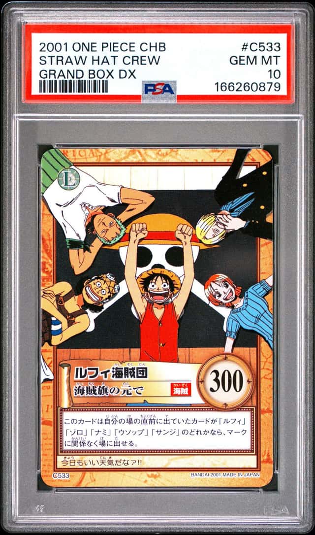Straw Hat Pirates