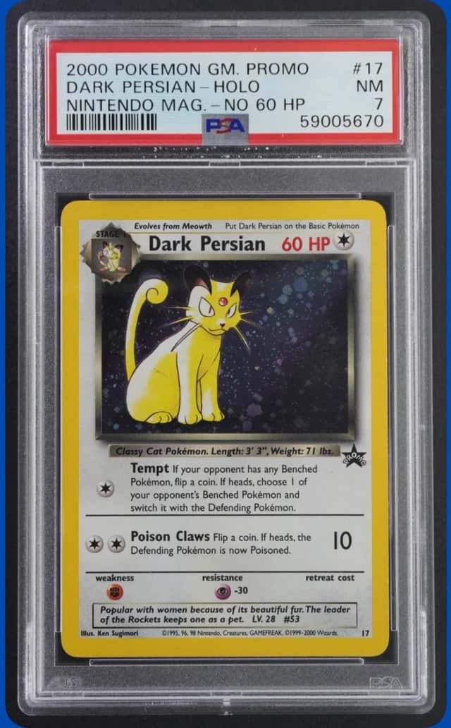 Dark Persian