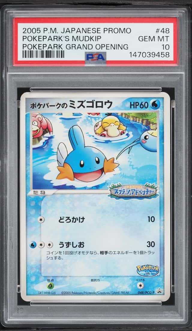 Pokepark's Mudkip