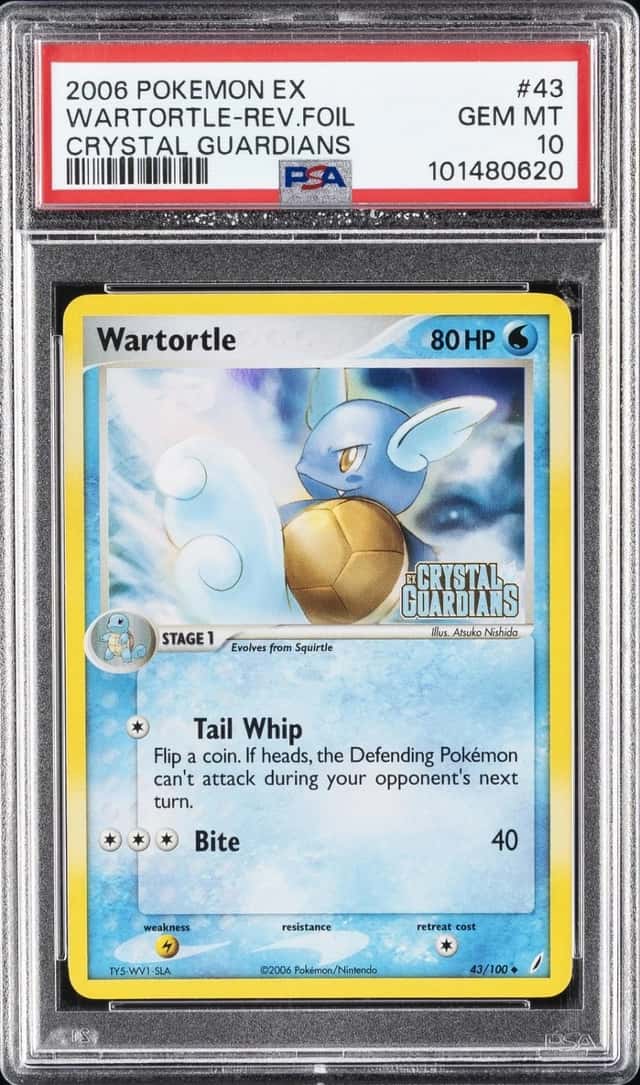 Wartortle