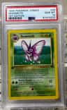 Venomoth