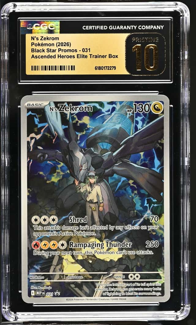 N's Zekrom
