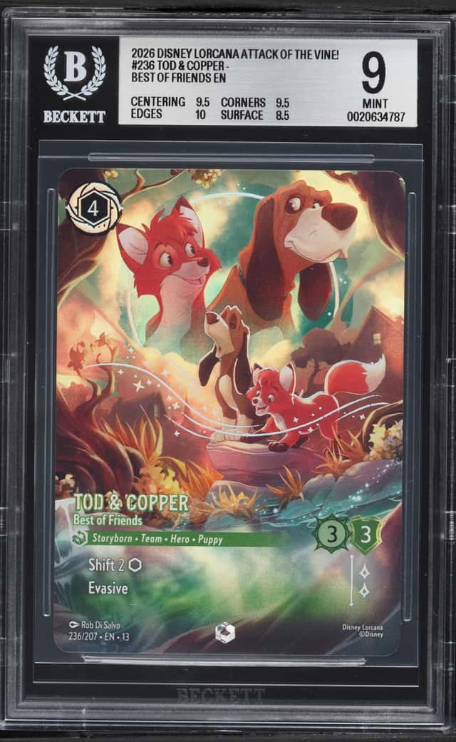 Tod & Copper