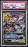 Pikachu & Zekrom Gx