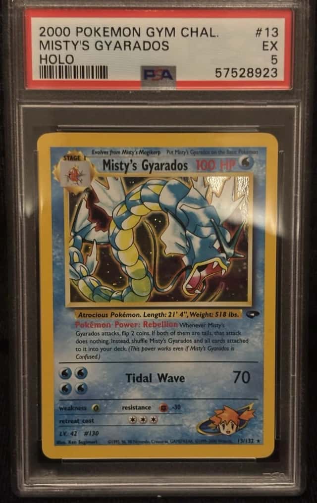 Misty's Gyarados