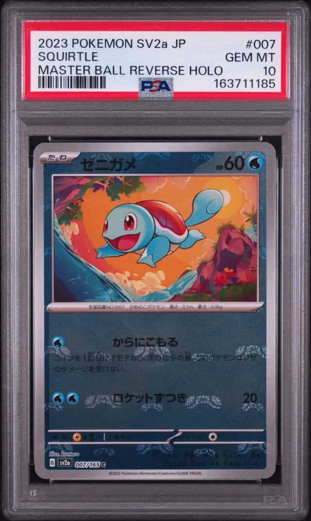Squirtle