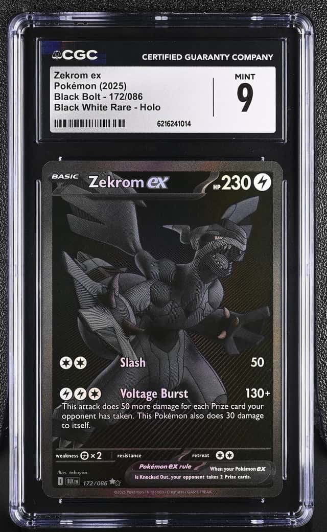 ZEKROM ex