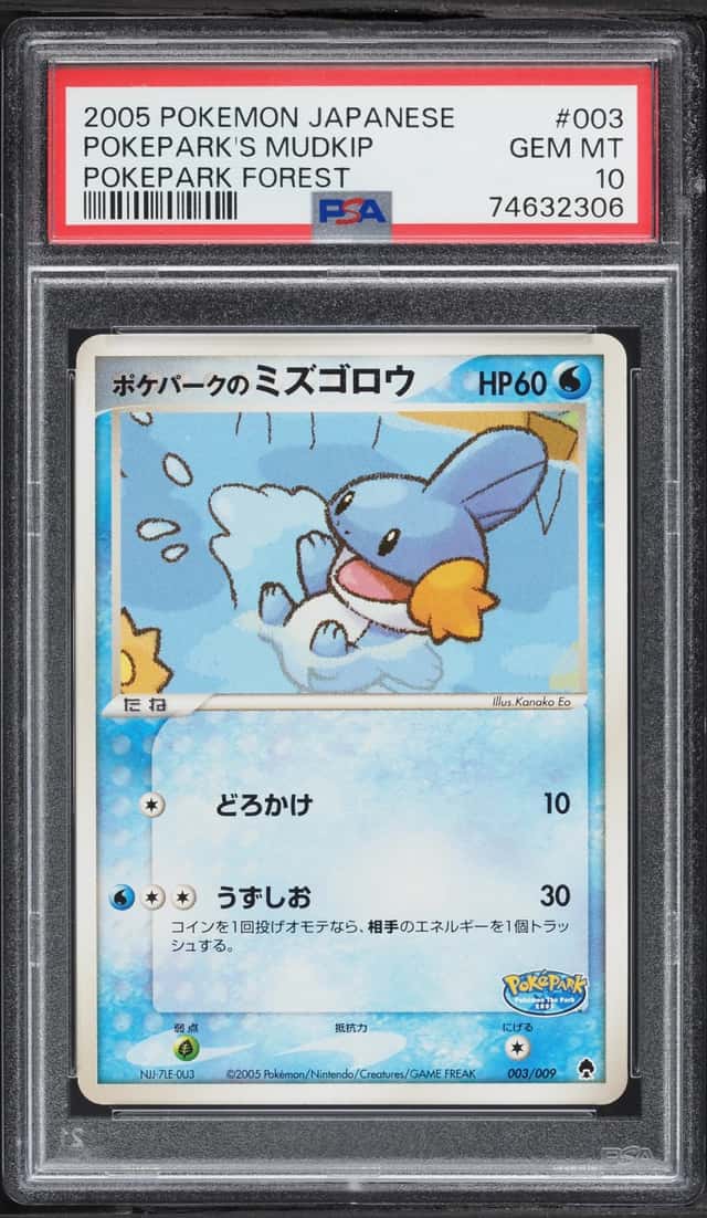 Pokepark's Mudkip