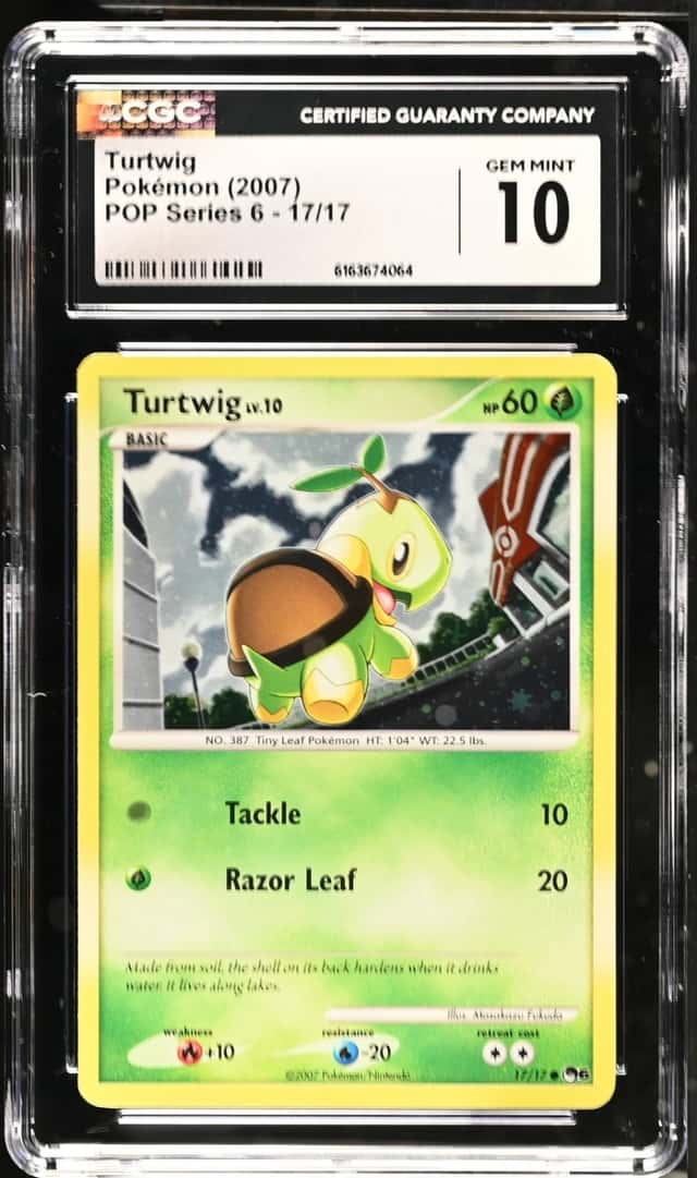 Turtwig