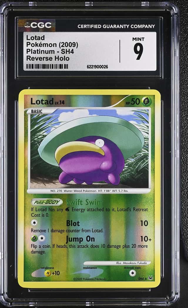 Lotad