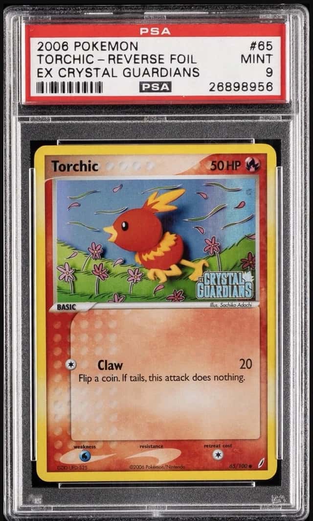 Torchic