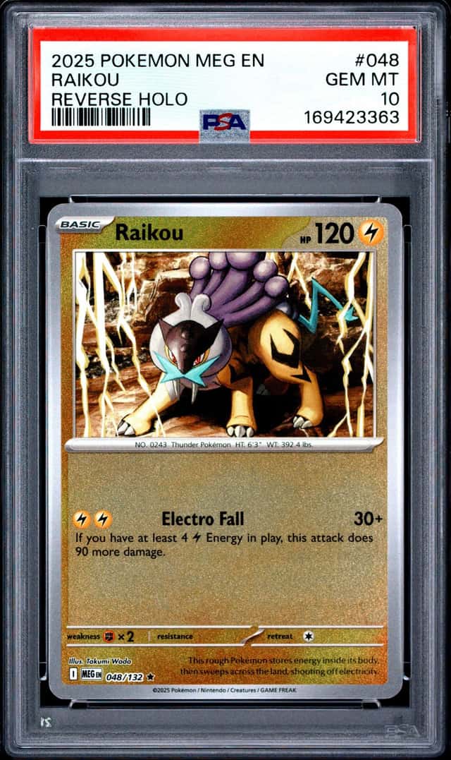 Raikou