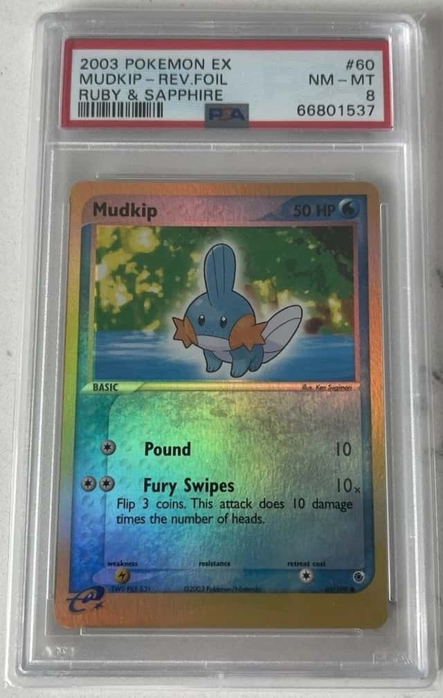 Mudkip