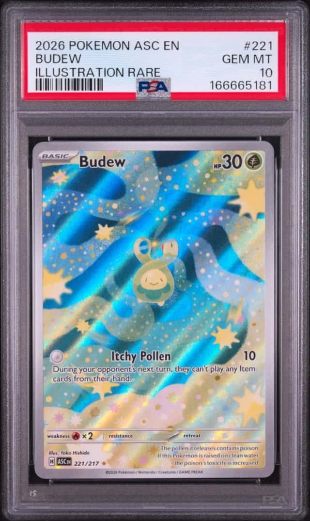 Budew