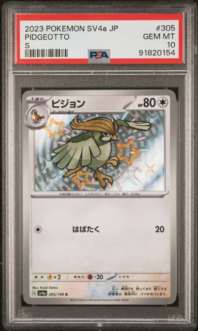 Pidgeotto