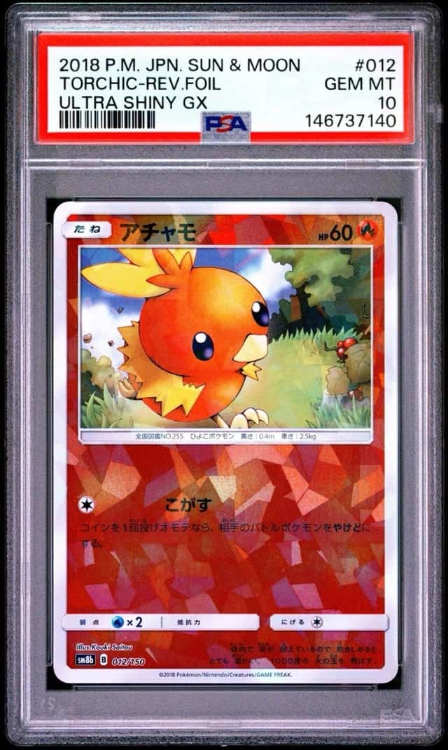 Torchic