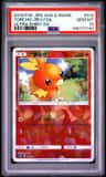 Torchic