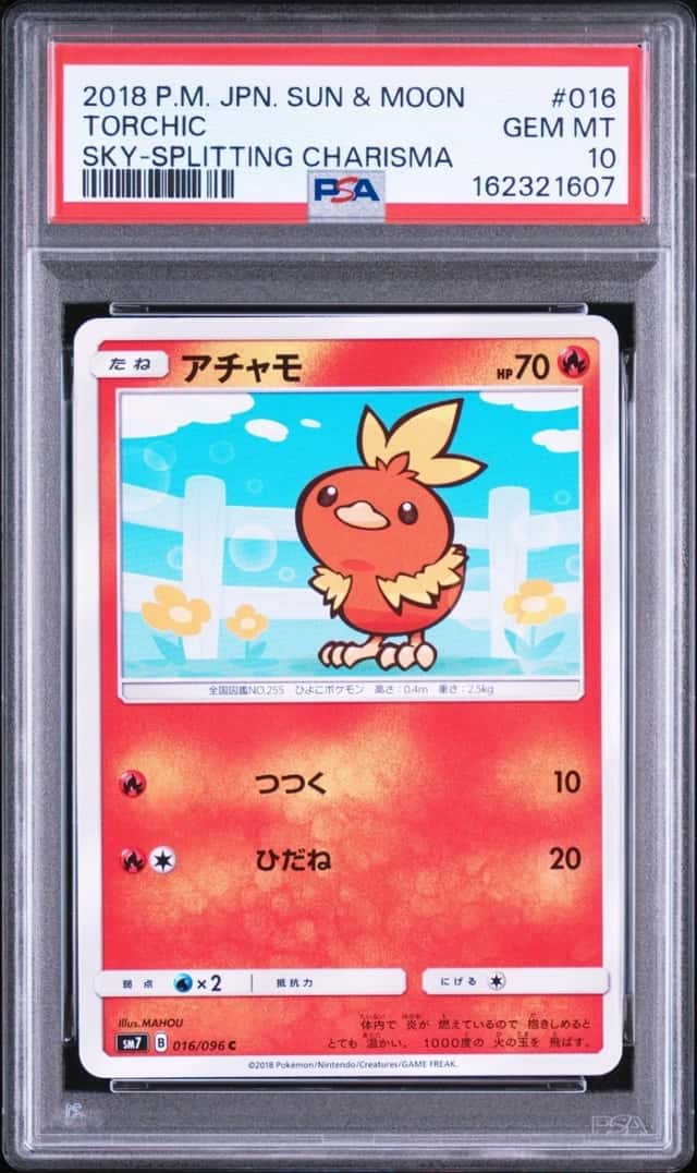 Torchic