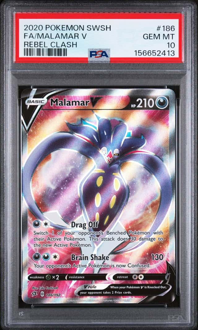 Malamar V