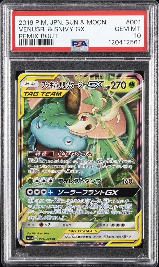 Venusaur & Snivy GX
