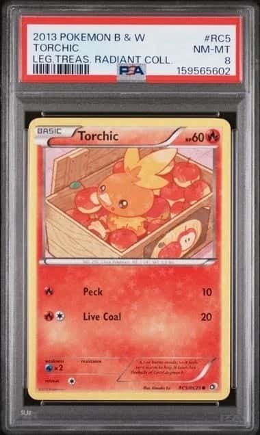 Torchic
