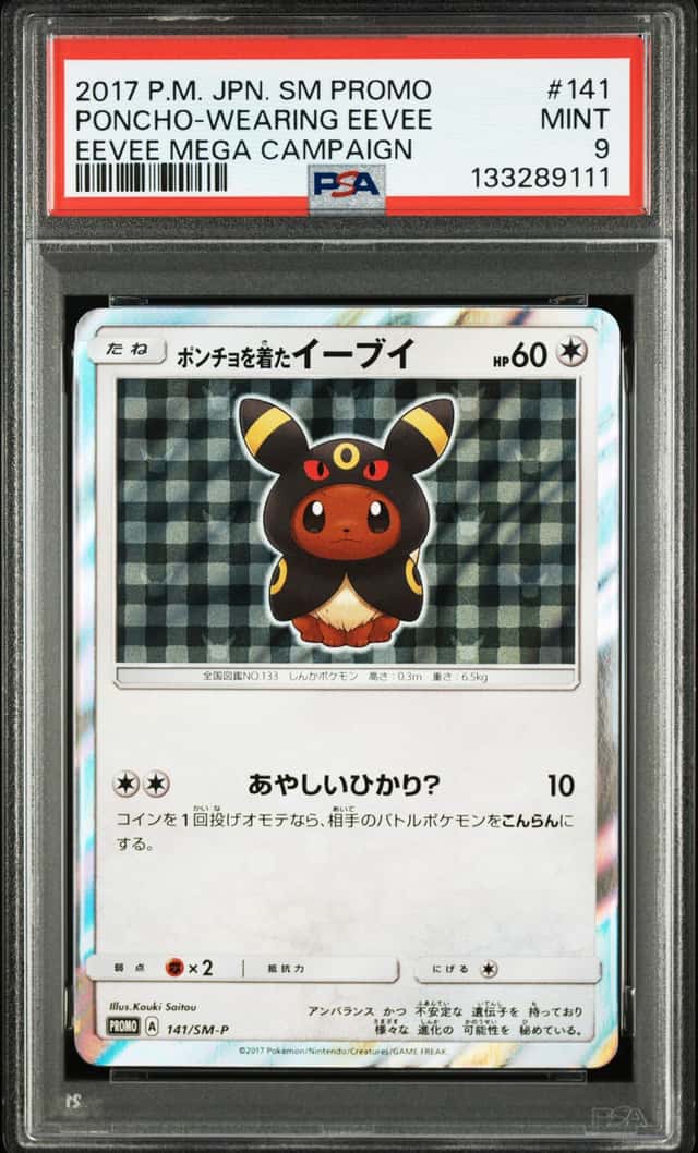 Poncho-Wearing Eevee