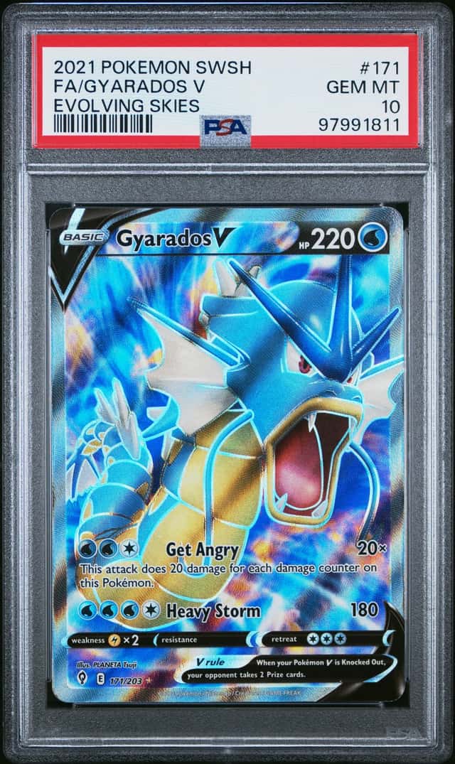 Gyarados V
