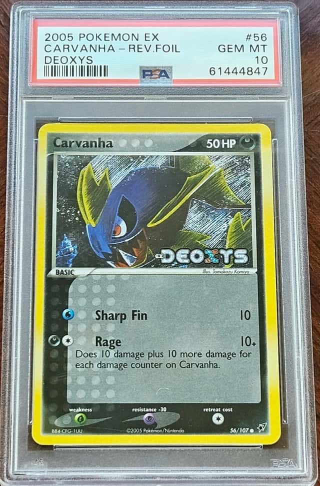 Carvanha