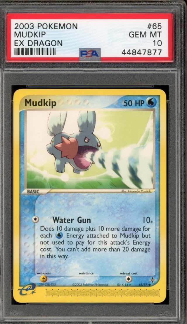 Mudkip