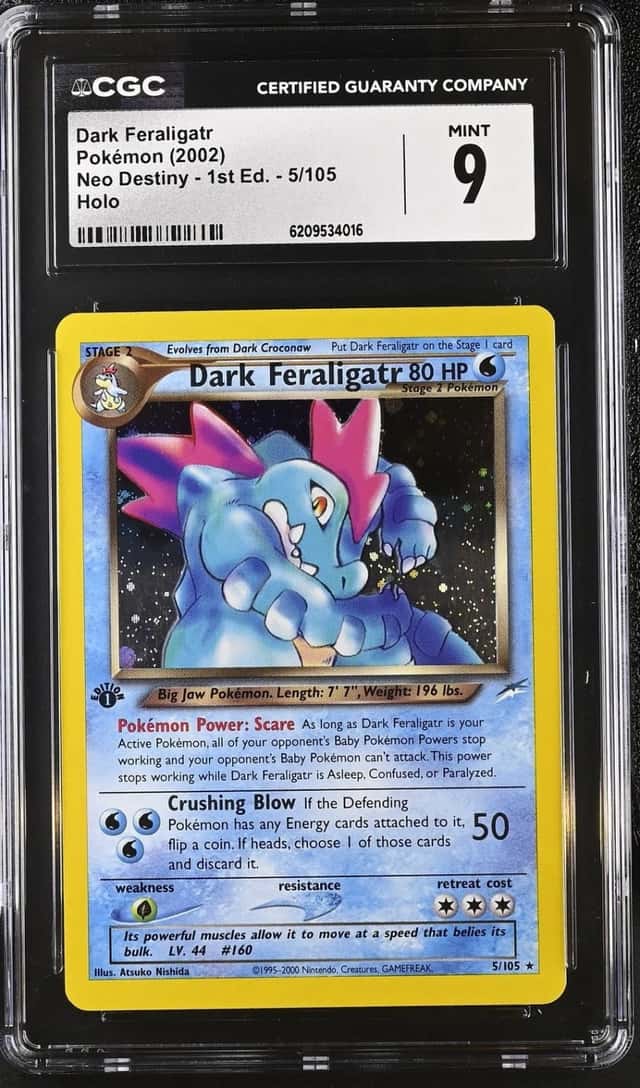 Dark Feraligatr