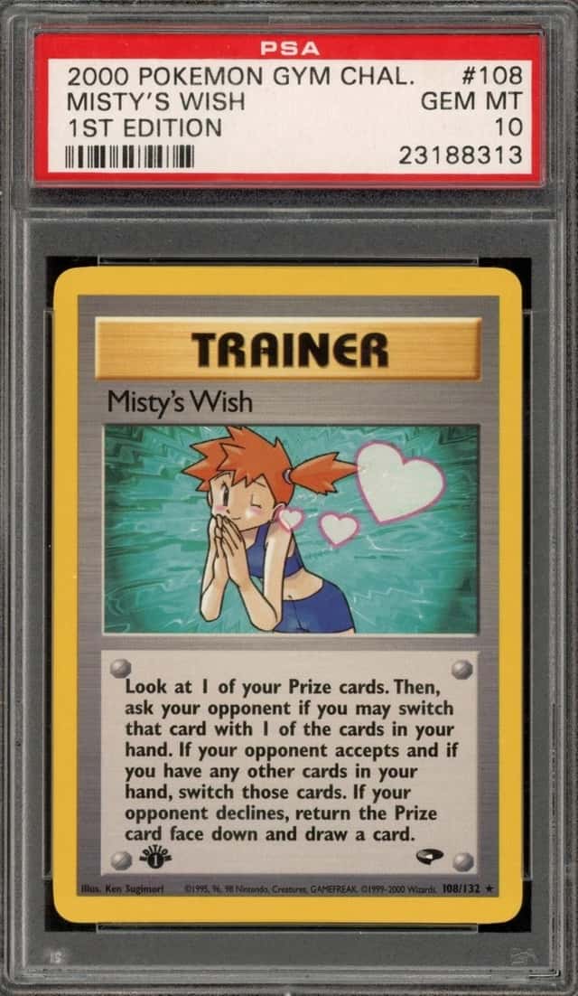 Misty's Wish