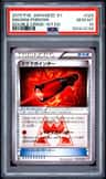 Magma Pointer