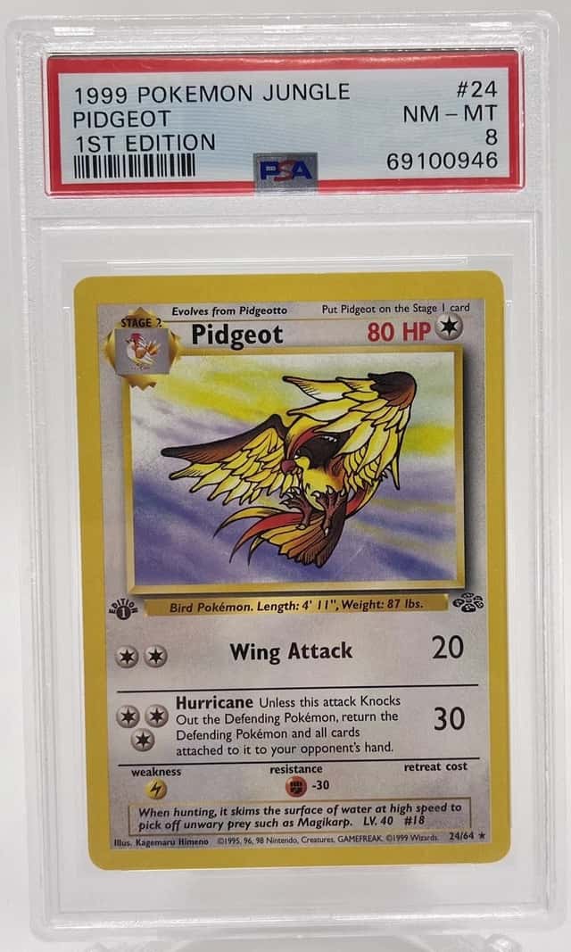 Pidgeot