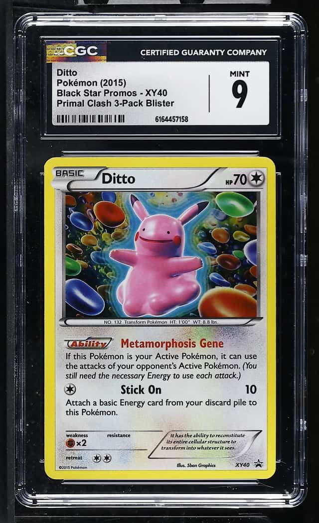 Ditto