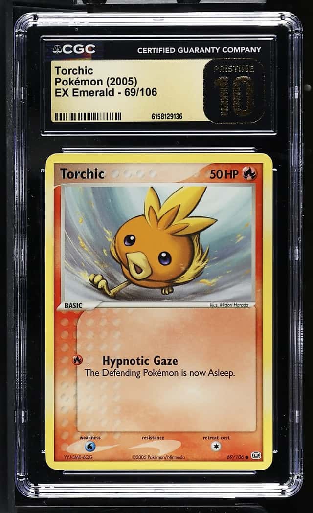 Torchic